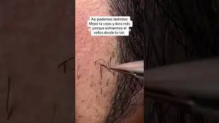 Las que en verdad somos perfeccionista quitamos los &uacute;ltimos vellos con pinza #cejas #cejaspeloapelo