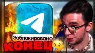 РЕАКЦИЯ DINICETEA НА НАЧАЛО КОНЦА МЕССЕНДЖЕРОВ В РОССИИ - TELEGRAM и WHATSAPP  - VESELOFF | РЕАКЦИЯ