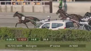 2025 04 10 | Corsa 6 | Metri 1660 | Premio Ellymay