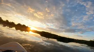 V&acirc;slind pe cer &icirc;n Delta Argeșului - 01-08-2022