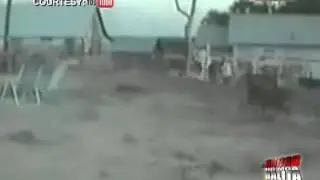 News5E | ISANG ASO SUMIKAT DAHIL PARA SIYANG SI RAMBO