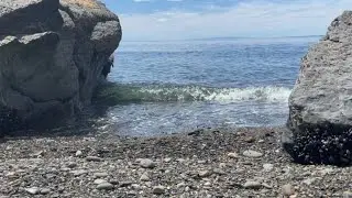 🌊Relaxing Ocean Tides at the Beach🌊// Perfect to Soothe your Mind