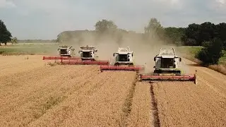Claas Lexion 560, 570, 600, 770 beim Weizen dreschen 2019