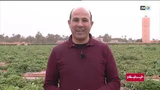 خير لبلاد : الأحد 03 مارس 2024