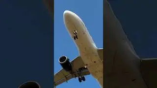 Close-up landing of a Nouvelair A320 at Brussels Airport from Tunis #planespotting