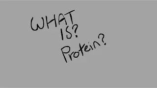 What is: a Protein?