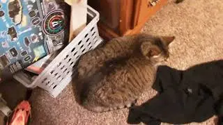 Infinite hole