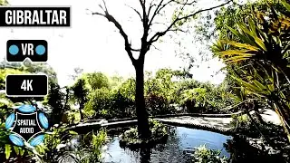360&deg; La Alameda Gardens 3 | Gibraltar | VR Ambisonics