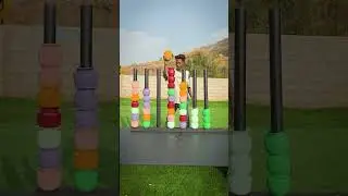 Sorting Colours Challenge || Village Avengers