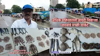 अधिक महिन्यातला नागरी निवाऱ्याजवळचे मच्छी मार्केट. Fish Market near Nagari Navara.@PramodTondwalkar