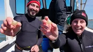 Rutgers Helps Introduce New Clam Species to Boost New Jersey Economy