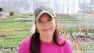 Plant Progress Report & Spring Garden Inspiration
