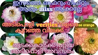 ഇന്ന് വാങ്ങുന്ന എല്ലാവർക്കും free tuberum കൂടാതെ കൊറിയർ ചാർജ് തികച്ചും സൗജന്യവും......