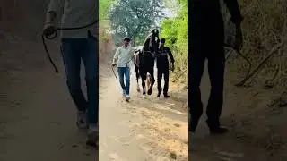 #horseriding