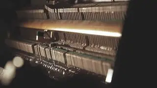 Ed Carlsen - Words (official video)