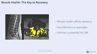 Muscles Source of Low Back Pain