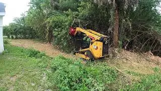 Forest Mulching and Tree Service in Palm Bay Florida
