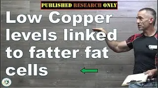 ✔️ Low copper levels linked to fatter fat cells