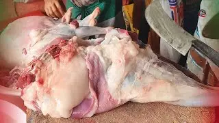 Удивительные невероятные навыки резки мяса Big Gest весом 20 кг I Ghar ka Pla Hua Shandar Bakra@c...