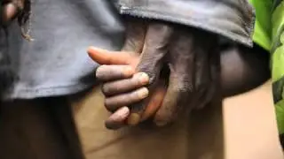 Espinelas de hero&iacute;smo - Paradoxus luporum