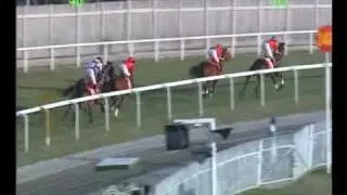Les Course Hippiques a Maurice _ saison 2005