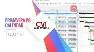 Primavera P6 Calendar Tutorial | Set Detailed Working Hours Per Day Easily