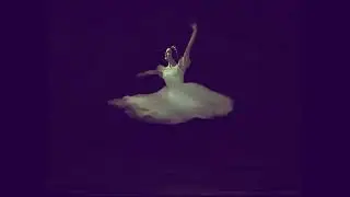 Spin