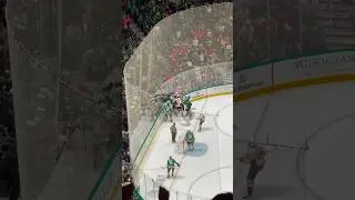 NHL |  Washington capitals vs Dallas stars #nhl #hockey