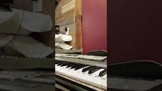 burn by Hamilton on piano