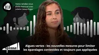 L'Etat louvoie sur le trop-plein de nitrates agricoles en Bretagne | Notre récap' de juillet 2024