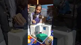 July 26, 2025Science Inspire Award top 10 model ideas. New model ideas for science Inspire Award