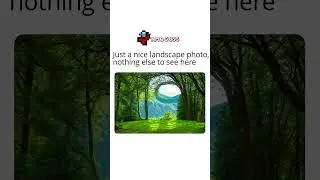 Just a nice photo...  #amongus #amoguss #amongusgame #memes