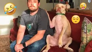 I'm 101% SURE that you will LAUGH EXTREMELY HARD- Funny Dog 2025 #79
