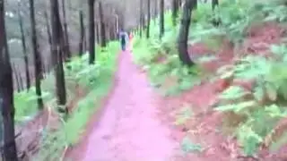 Flysch trail 2011