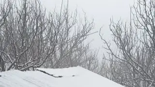 Narkanda live snowfall 23 January