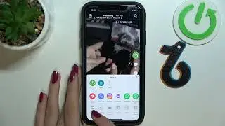 TikTok: Video-URL teilen und kopieren &ndash; Schritt f&uuml;r Schritt