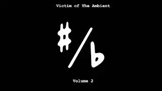 Volume 2 (Full Compilation) | Victim of the Ambient