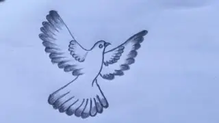 How to draw a flying bird step by step? drawing #bird #fyp #shortvideo