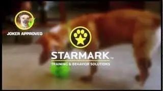 Joker Loves Starmark Toys!