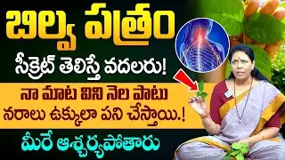 Aruna Devi - బిల్వ పత్రం సీక్రెట్ తెలిస్తే వదలరు! Health Benefits of Bel Patra | iD Health Podcast
