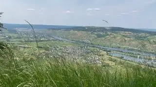 1080p Relaxing Scenic Wine Fields Riol - Germany (Ambiance, Bird song, nature)