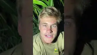 It&rsquo;s CORN!!!🌽 #shorts #viral #funny #vibes #corn