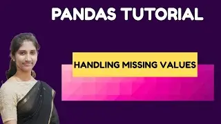 Handle Missing Values in Pandas | isnull(), fillna(), dropna() Explained
