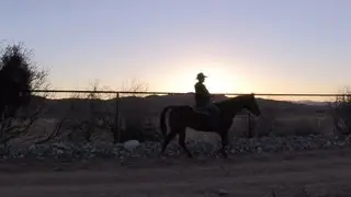 Bonanza! Saddle Up and Ride Through the Old Spanish Trail at Sunset