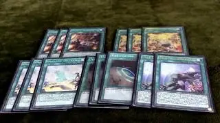 True Draco zoodiac deck profile , post June 12 banlist , undefeated