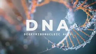 DNA Extraction : Extracting DNA from Banana Experiment