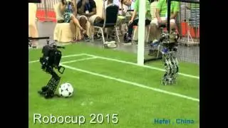 Autonomous humanoid soccer robot