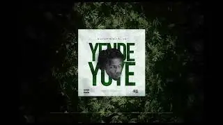 SILVER DIGITAL 42   YENDE YUYE VISUALIZER