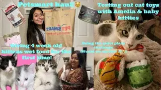 Giving baby kittens wet food for the first time!😽|petsmart haul|Cat vlog & more!|Christian girl✝️