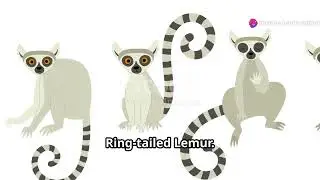 Lemur Lore: Madagascar's Primates in Myths and Legends! #animal2024